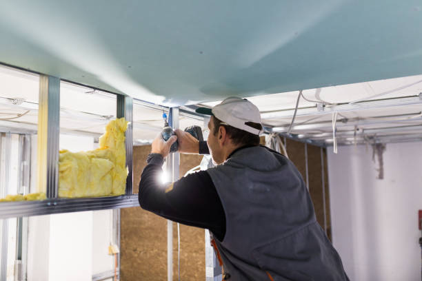 Best Commercial Insulation Contractor  in Mila Doce, TX