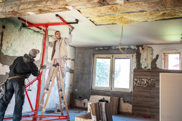 Best Insulation Contractors for Homes  in Mila Doce, TX