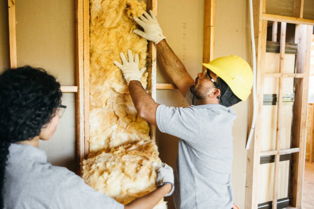 Best Affordable Insulation Services  in Mila Doce, TX