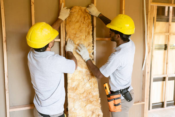 Best Insulation Removal Services  in Mila Doce, TX