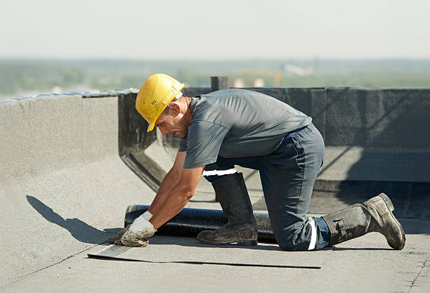 Best Attic Insulation Installation  in Mila Doce, TX