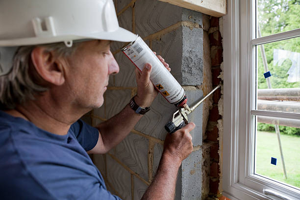 Best Insulation Replacement Services  in Mila Doce, TX