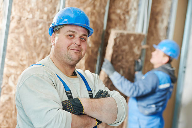 Best Home Insulation Services  in Mila Doce, TX