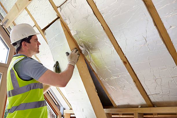 Best Attic Insulation Installation  in Mila Doce, TX